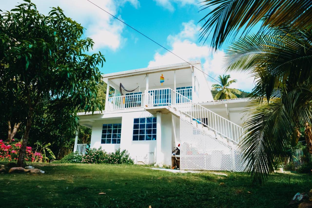 Posada Mango Tree South West Bay Exteriér fotografie